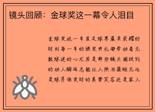 镜头回顾：金球奖这一幕令人泪目