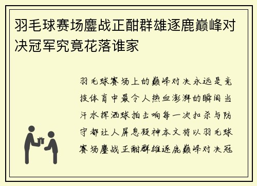 羽毛球赛场鏖战正酣群雄逐鹿巅峰对决冠军究竟花落谁家